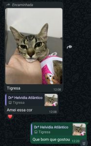 WhatsApp Image 2026-02-20 at 09.28.33